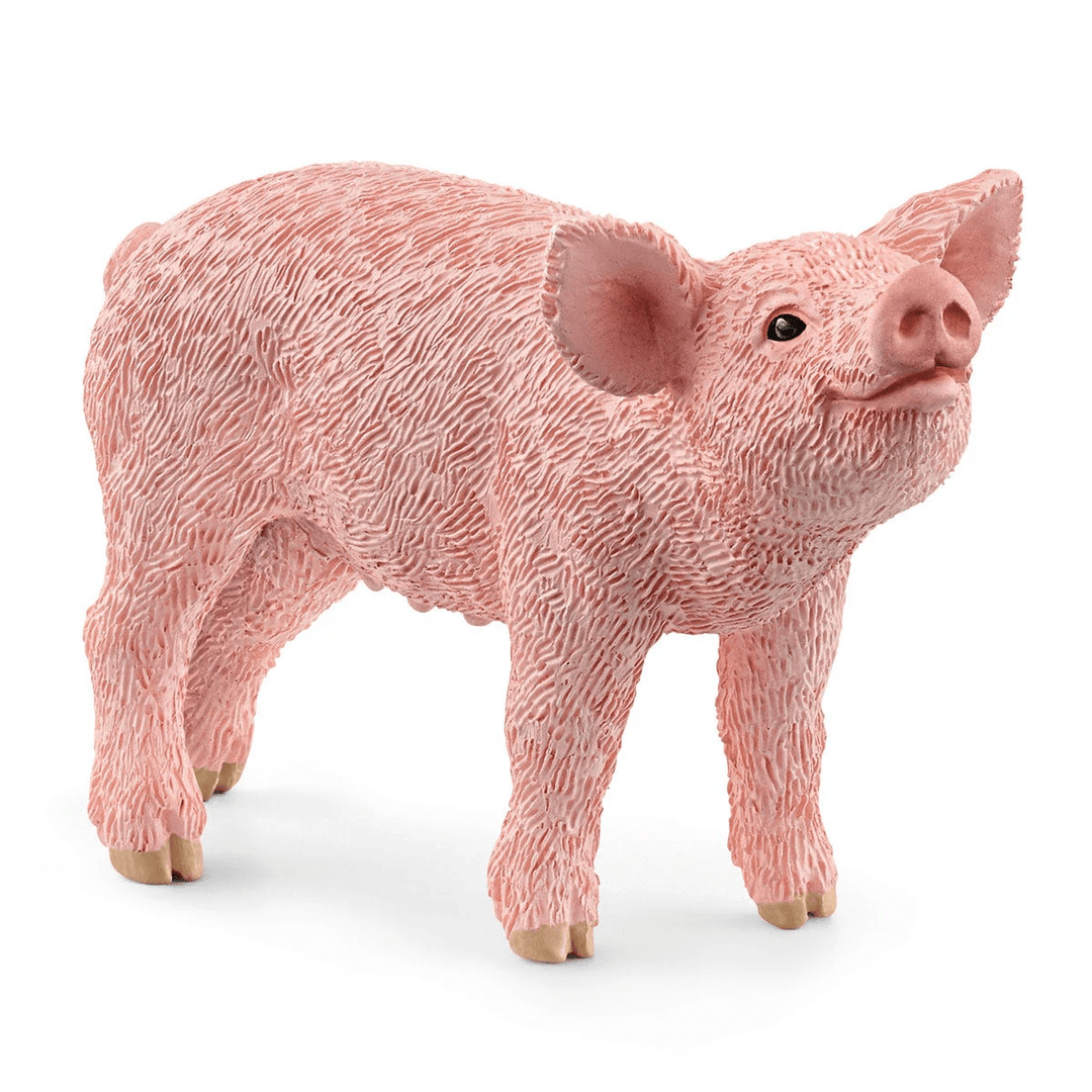 Piglet-Schleich USA-Tools 4 Teaching-Classroom Decor and More