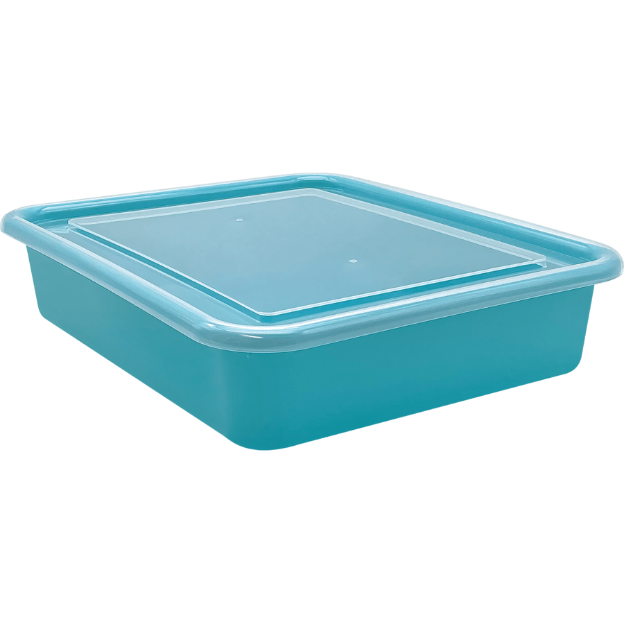 Plastic Letter Tray Lid-Organization-Tools 4 Teaching-Classroom Decor and More