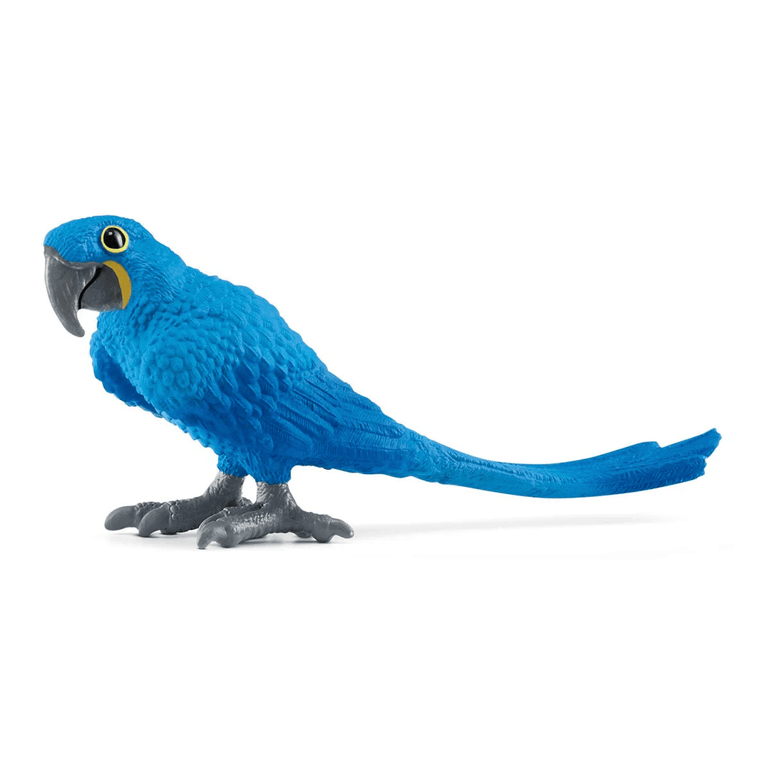 Hyazinth Macaw-Schleich USA-Tools 4 Teaching-Classroom Decor and More