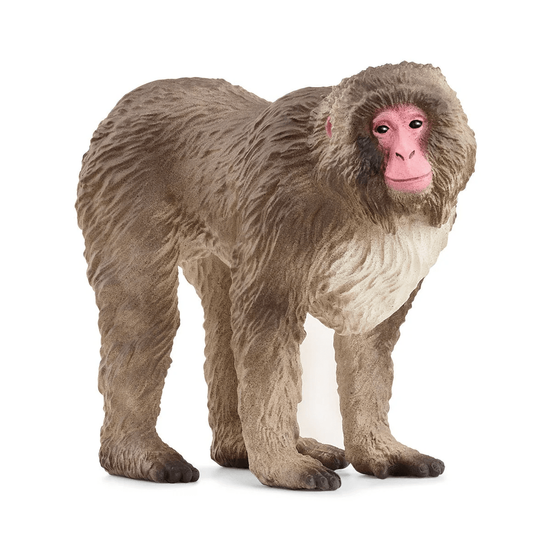 Japanese Macaque-Schleich USA-Tools 4 Teaching-Classroom Decor and More