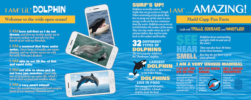 I AM LiL' DOLPHIN 100 pcs Puzzle-Puzzles-Tools 4 Teaching-Classroom Decor and More