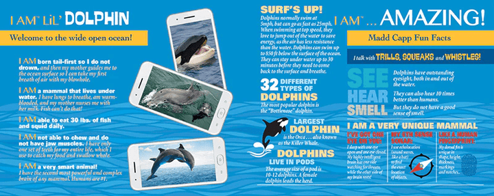 I AM LiL' DOLPHIN 100 pcs Puzzle-Puzzles-Tools 4 Teaching-Classroom Decor and More