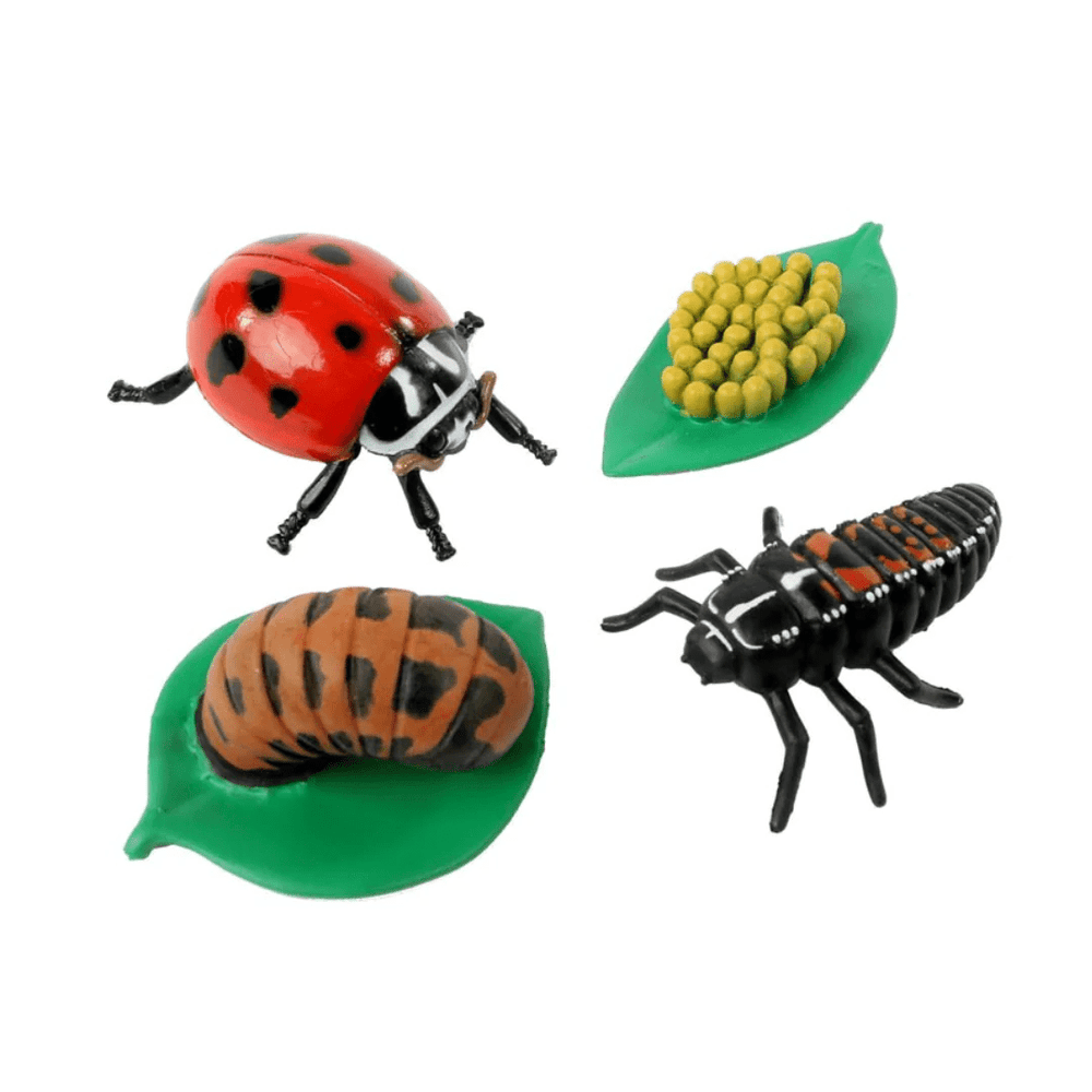 Ladybug Life Cycle Figurines-Science & STEM-Tools 4 Teaching-Classroom Decor and More