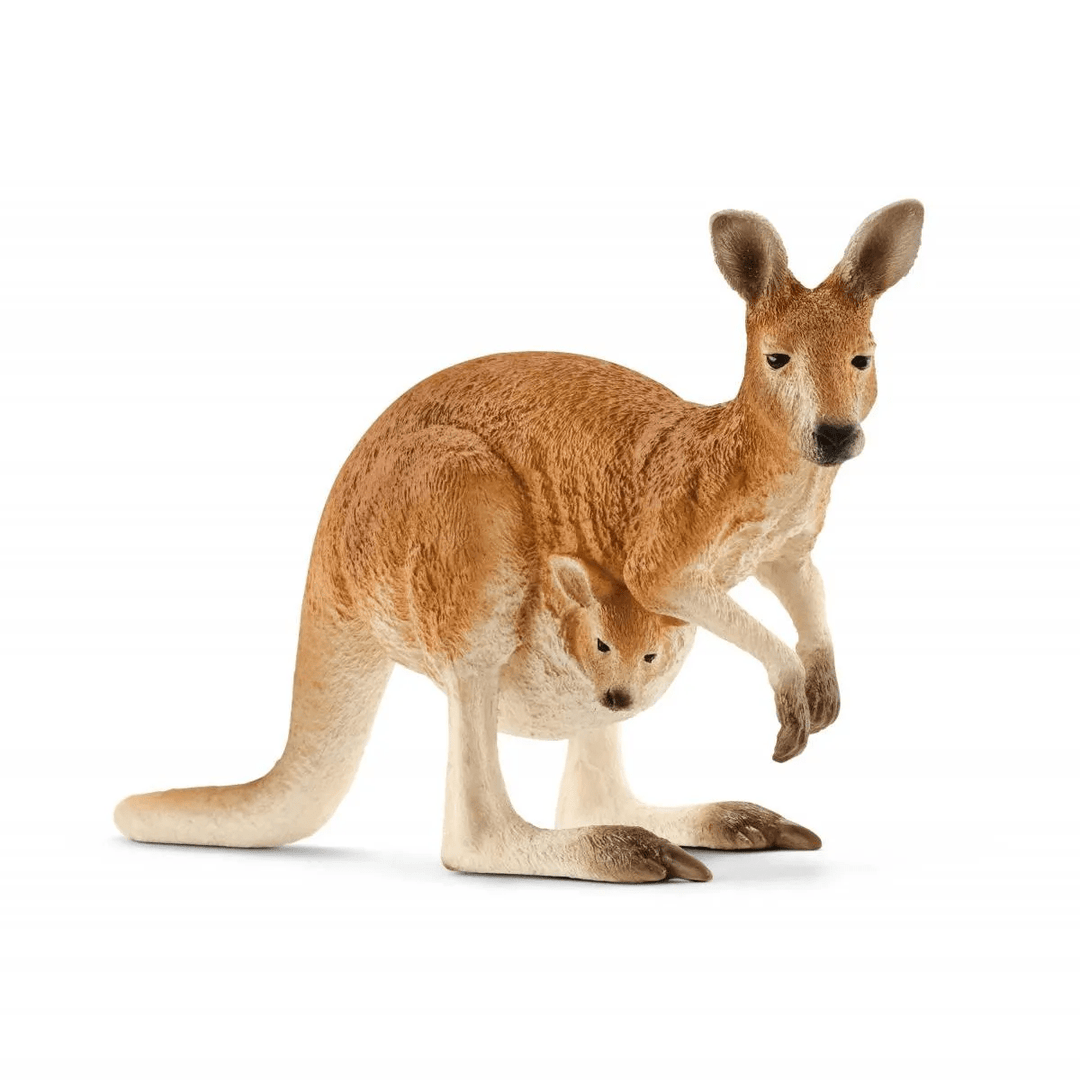 Kangaroo-Schleich USA-Tools 4 Teaching-Classroom Decor and More