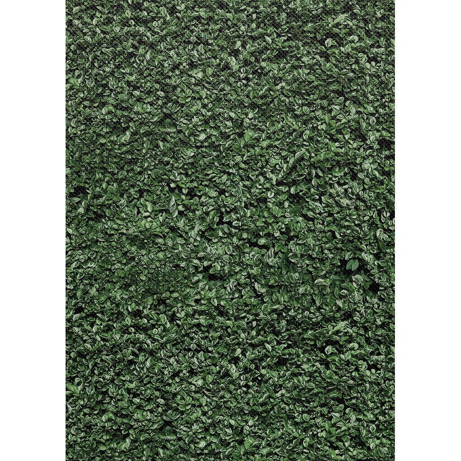Better Than Paper® Bulletin Board Roll: Boxwood-Bulletin Board Paper - Better Than Paper-Tools 4 Teaching-Classroom Decor and More