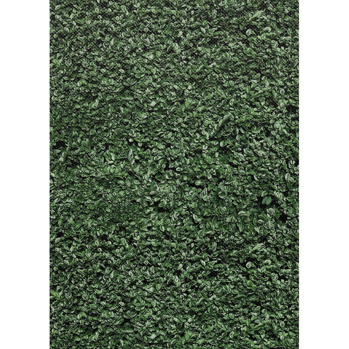 Better Than Paper® Bulletin Board Roll: Boxwood-Bulletin Board Paper - Better Than Paper-Tools 4 Teaching-Classroom Decor and More