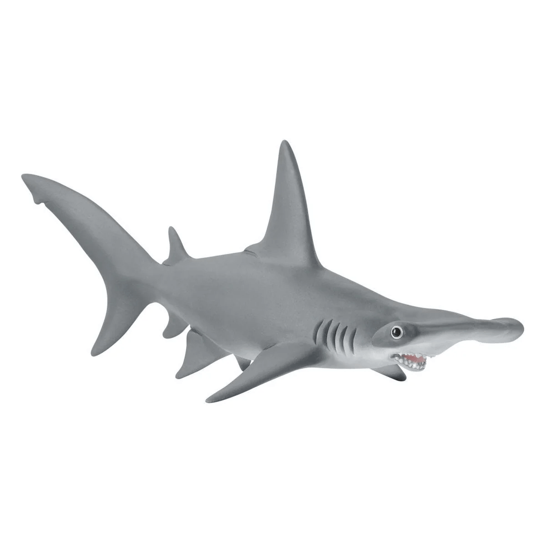 Hammerhead Shark-Schleich USA-Tools 4 Teaching-Classroom Decor and More