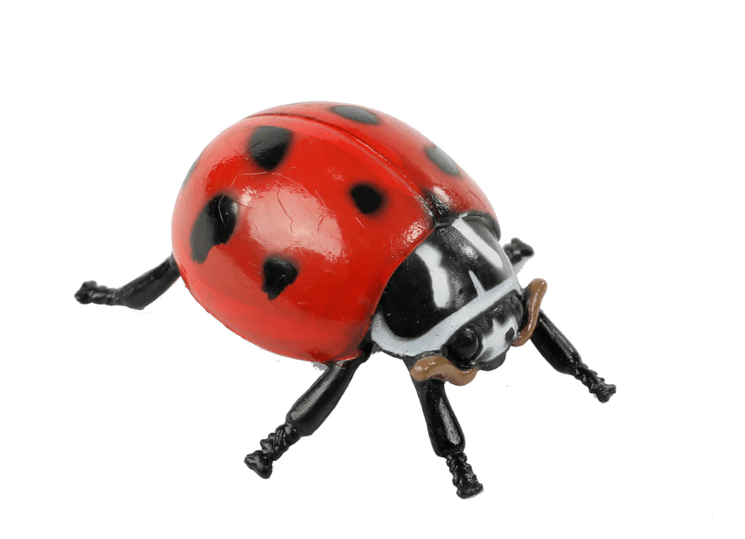 Ladybug Life Cycle Figurines-Science & STEM-Tools 4 Teaching-Classroom Decor and More