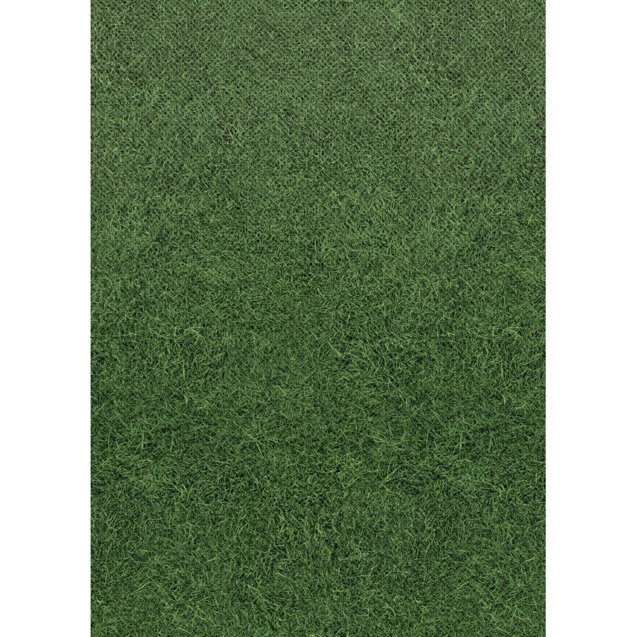 Better Than Paper® Bulletin Board Roll: Grass-Bulletin Board Paper - Better Than Paper-Tools 4 Teaching-Classroom Decor and More
