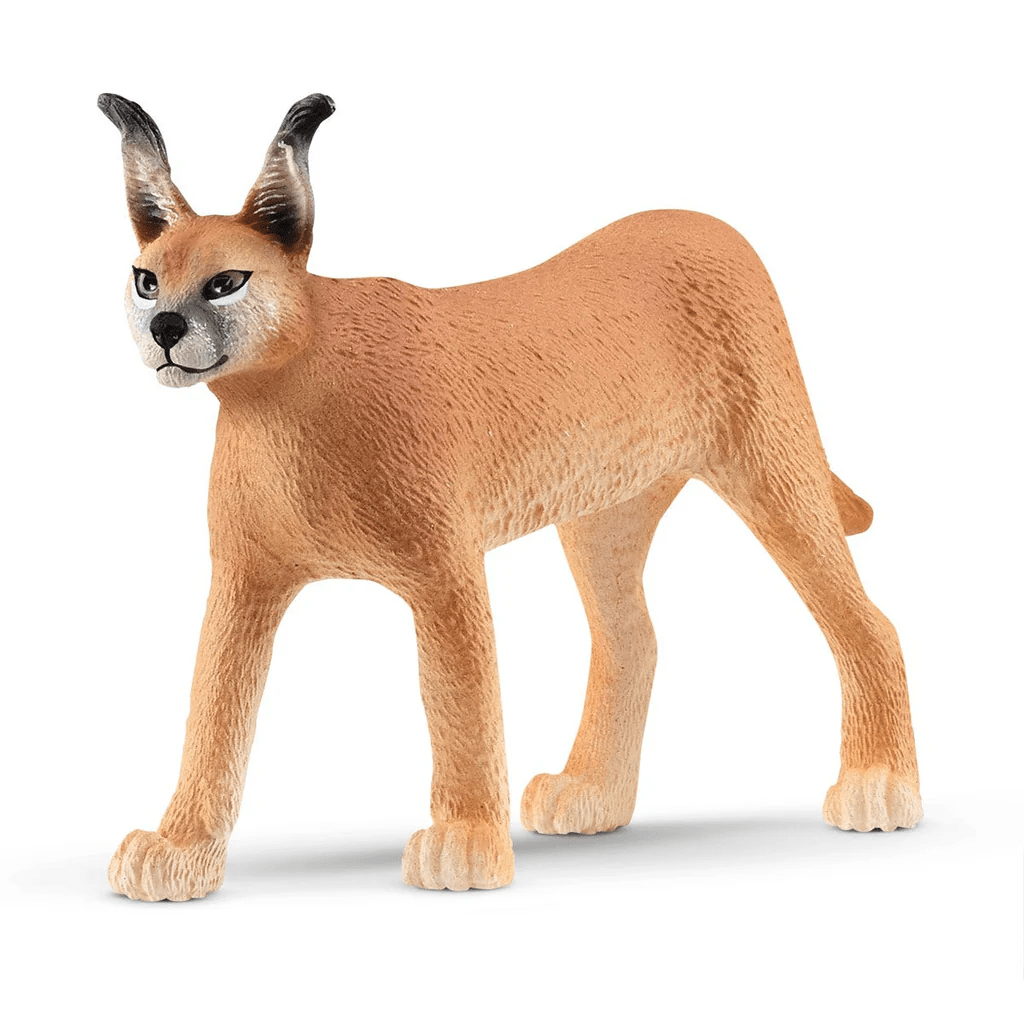 Caracal Female-Schleich USA-Tools 4 Teaching-Classroom Decor and More