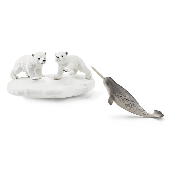 Polar Playground-Schleich USA-Tools 4 Teaching-Classroom Decor and More