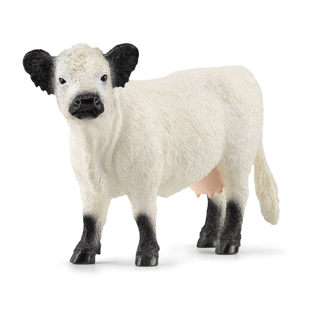 Galloway Cow-Schleich USA-Tools 4 Teaching-Classroom Decor and More