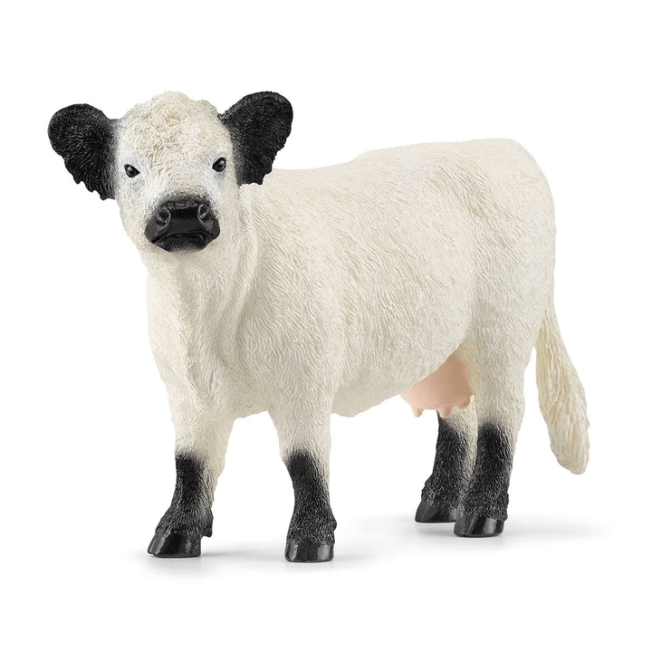 Galloway Cattle-Schleich USA-Tools 4 Teaching-Classroom Decor and More