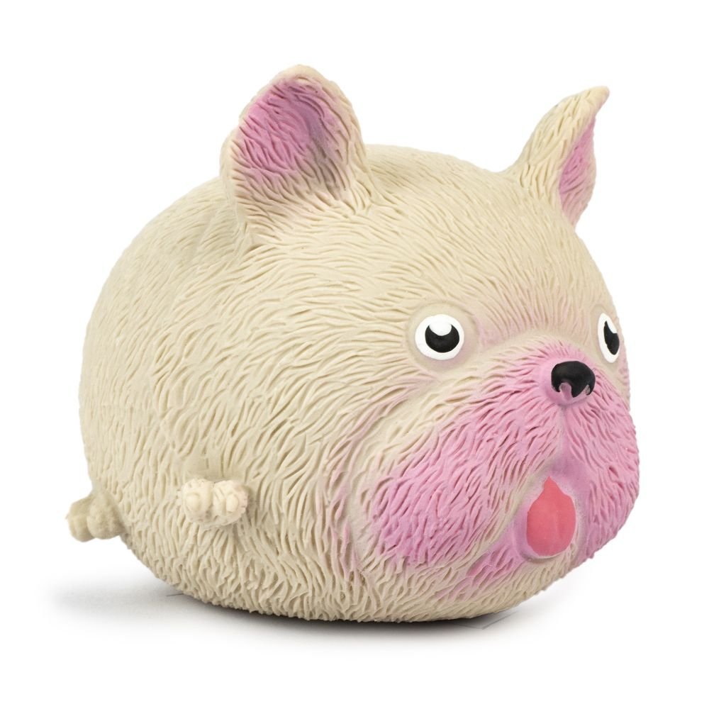 Squidgy Pooch - Assorted-Fidgets-Tools 4 Teaching-Classroom Decor and More