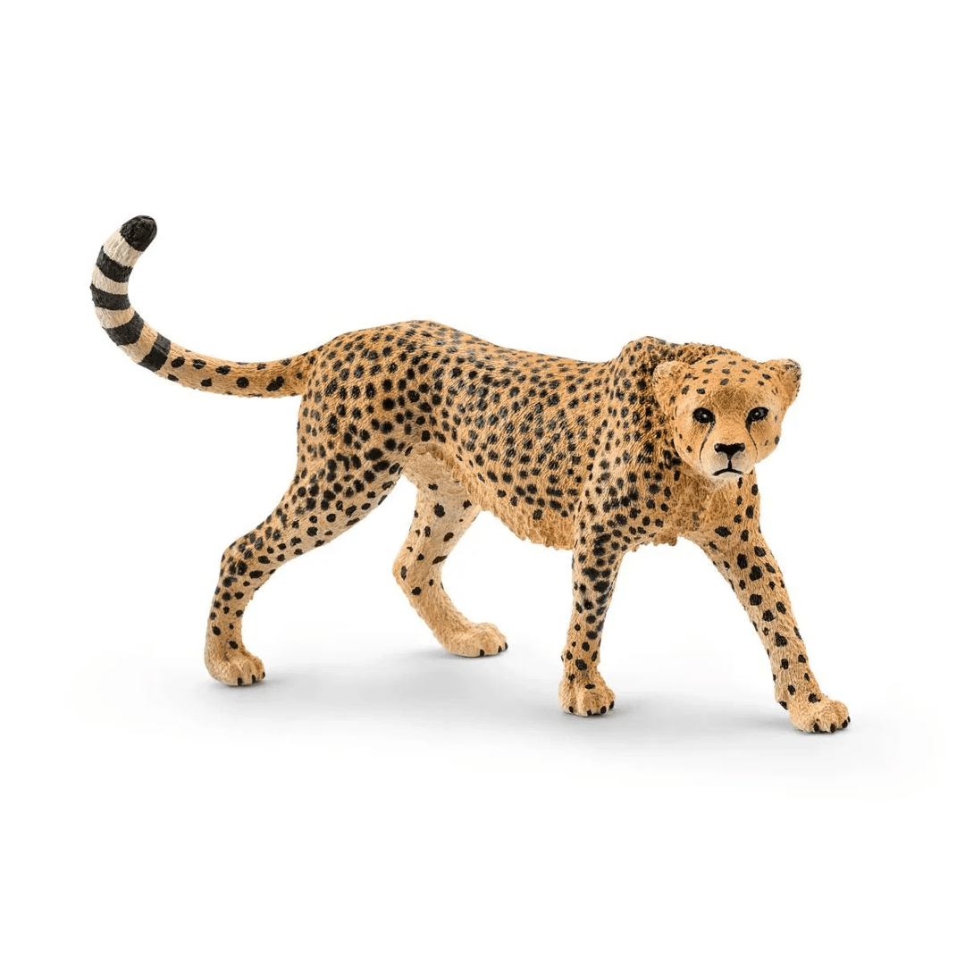 Cheetah, female-Schleich USA-Tools 4 Teaching-Classroom Decor and More