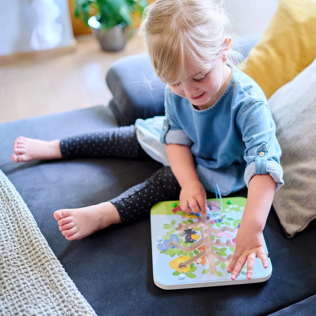 Magnetic Game Orchard - Tools 4 Teaching