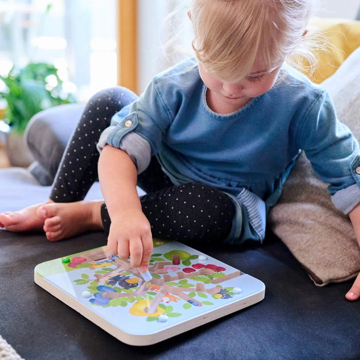 Magnetic Game Orchard - Tools 4 Teaching