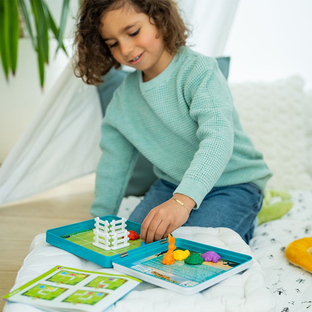 Turtle Tactics-Travel-Tools 4 Teaching-Classroom Decor and More