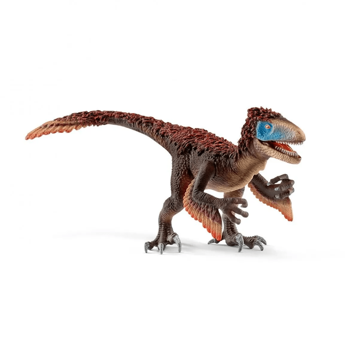 Utahraptor – Tools 4 Teaching