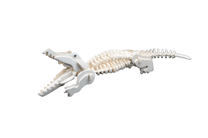 *Extreme Crocodiles of the World-Science & STEM-Tools 4 Teaching-Classroom Decor and More