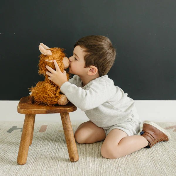 Warm pals™ Henry Highland Cow - Tools 4 Teaching