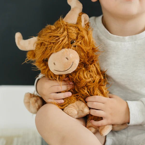 Warm pals™ Henry Highland Cow - Tools 4 Teaching