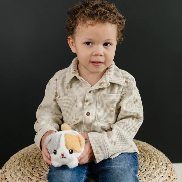 Warm pals™ Baby Kitten - Tools 4 Teaching
