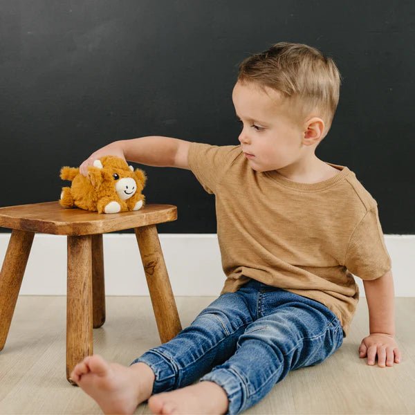 Warm pals™ Baby Highland Cow - Tools 4 Teaching