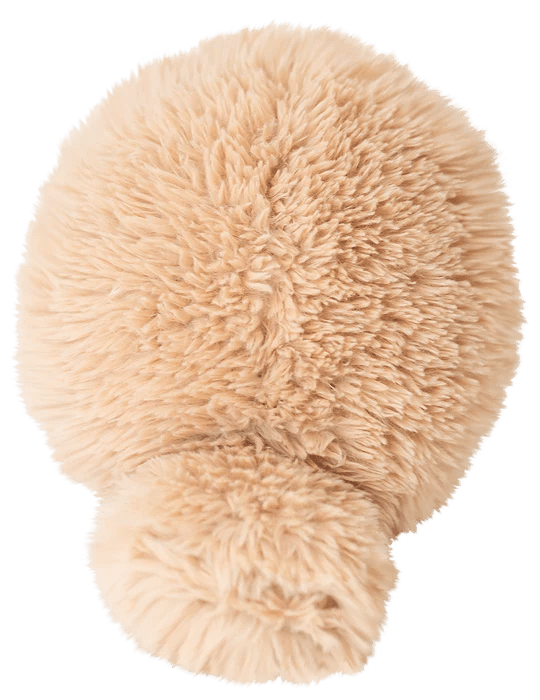 Fluffees Platypus 10"H Plush - Tools 4 Teaching