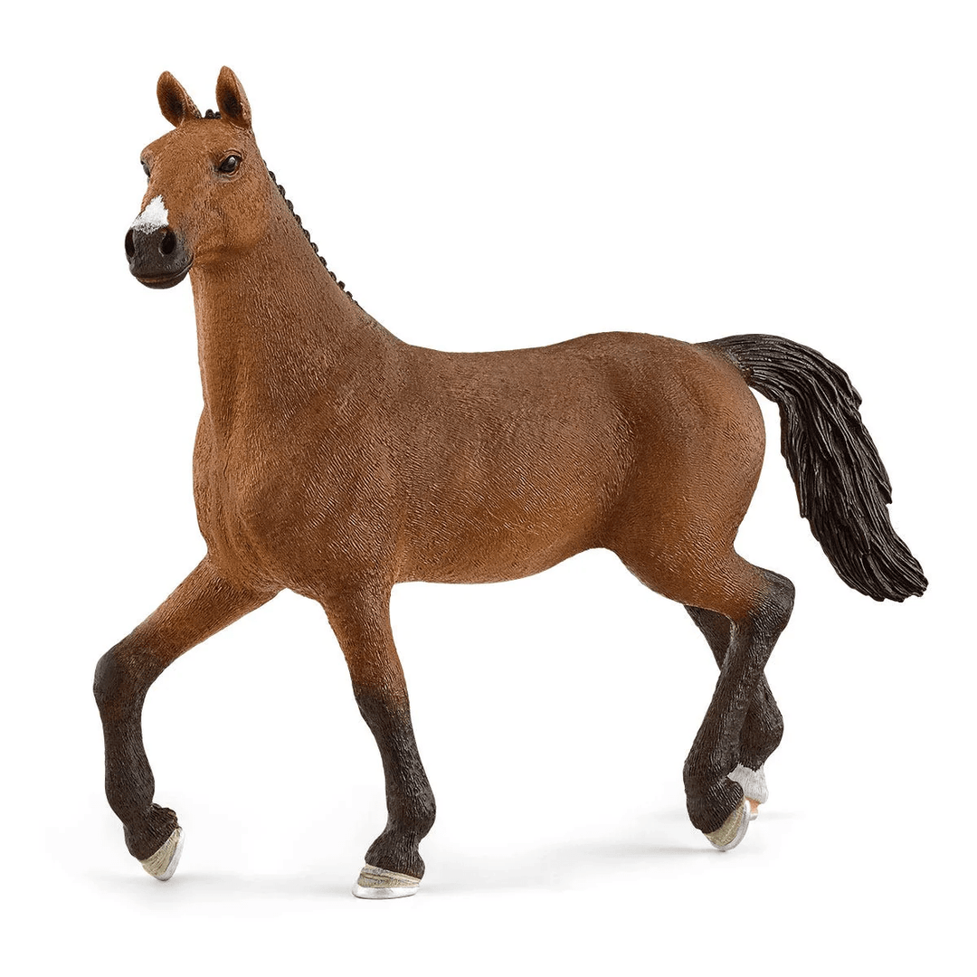 Oldenburg Mare-Schleich USA-Tools 4 Teaching-Classroom Decor and More