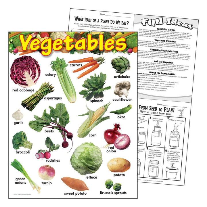 Vegetables Learning Chart-Charts-Tools 4 Teaching-Classroom Decor and More