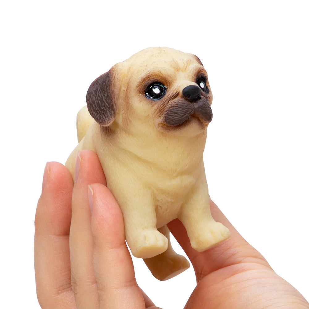 Pocket Pup-Fidgets-Tools 4 Teaching-Classroom Decor and More