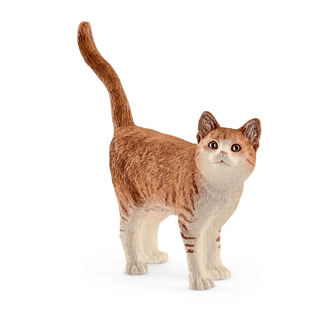 Cat-Schleich USA-Tools 4 Teaching-Classroom Decor and More
