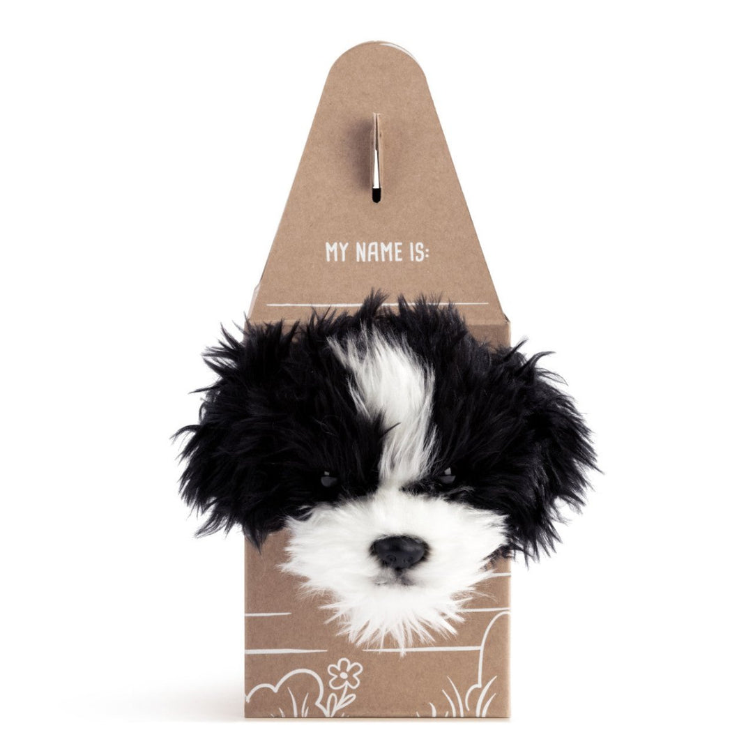 Pop-Up Carrier-Baby & Toddler-Tools 4 Teaching-Classroom Decor and More