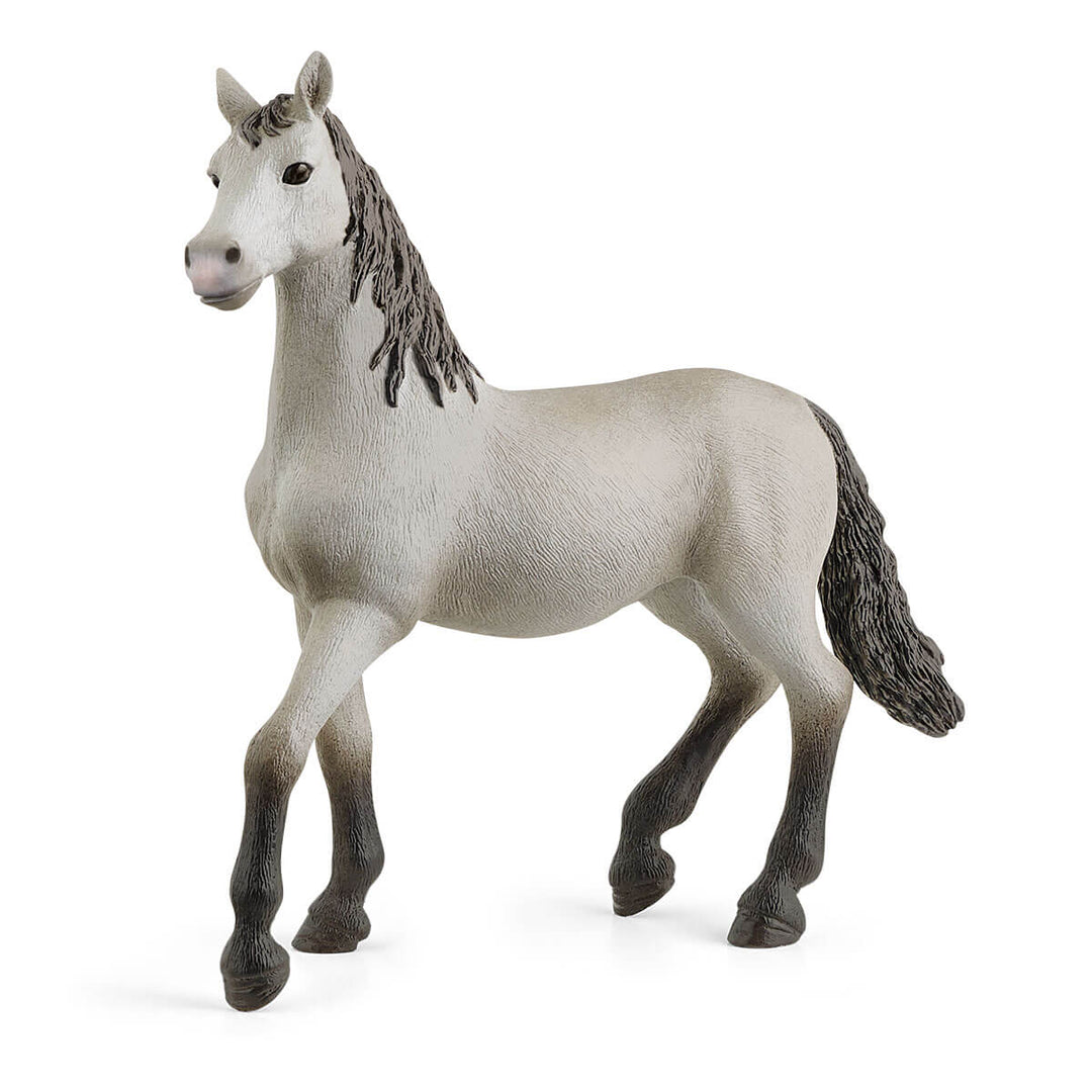 Pura Raza Española Young Horse-Schleich USA-Tools 4 Teaching-Classroom Decor and More