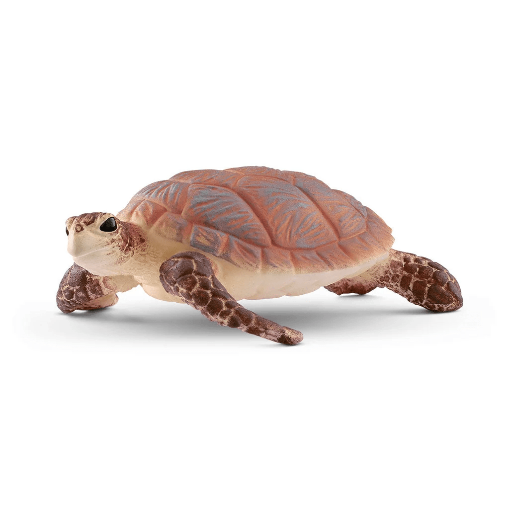 Hawksbill Sea Turtle-Schleich USA-Tools 4 Teaching-Classroom Decor and More