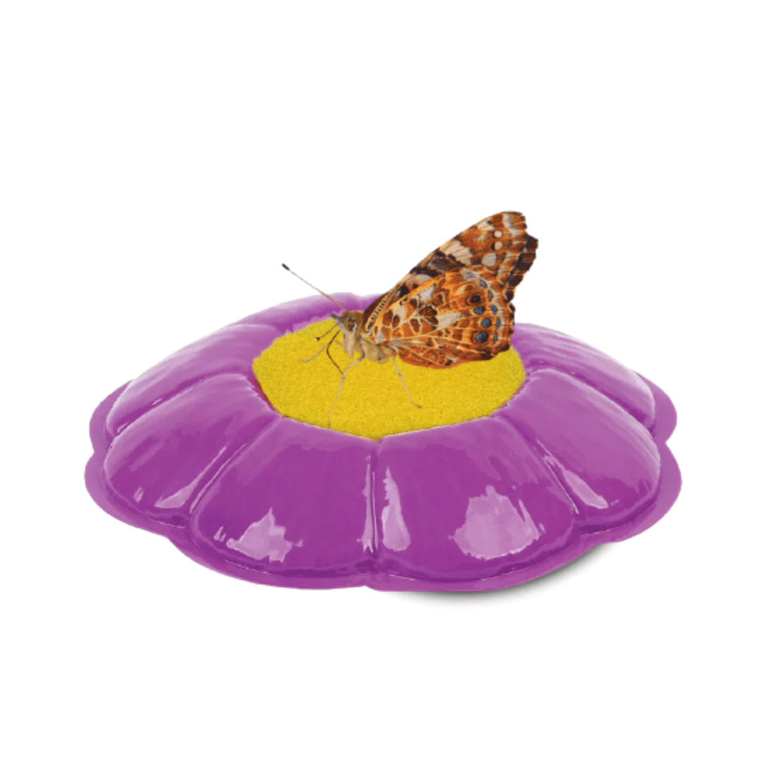 Butterfly Garden® With Voucher-Science & STEM-Tools 4 Teaching-Classroom Decor and More
