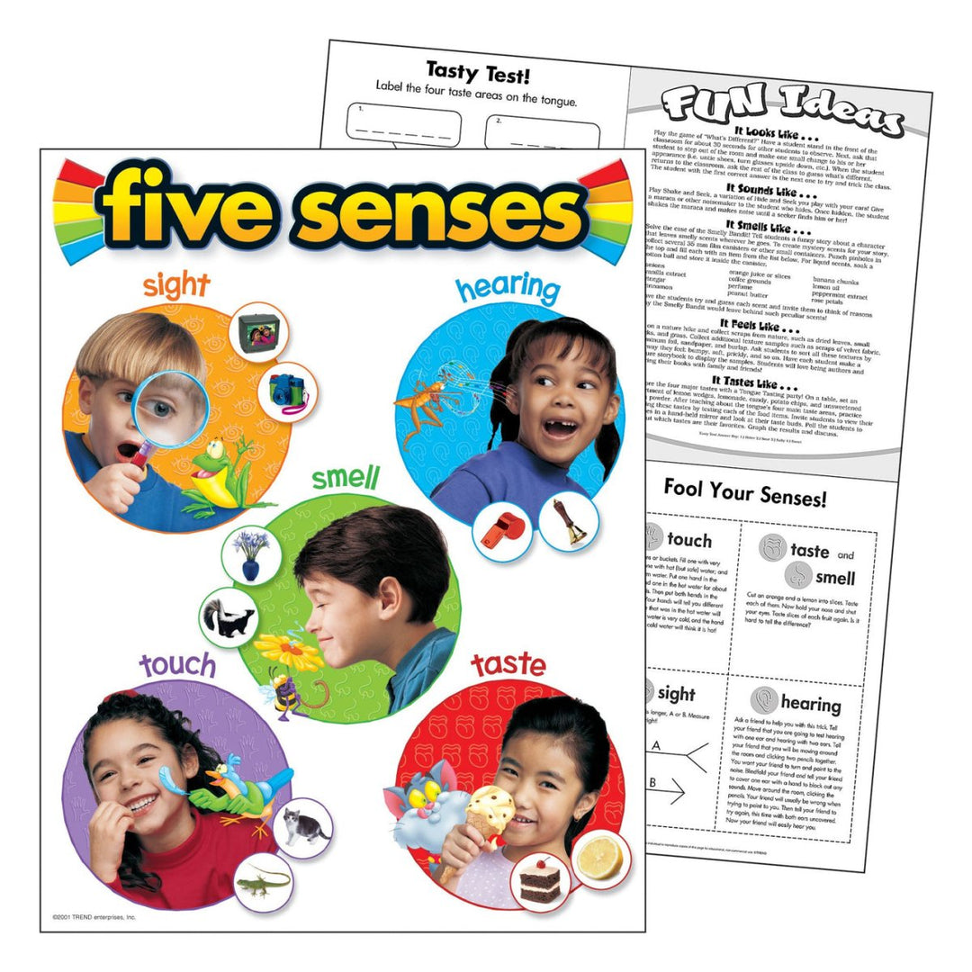 Five Senses Learning Chart-Charts-Tools 4 Teaching-Classroom Decor and More