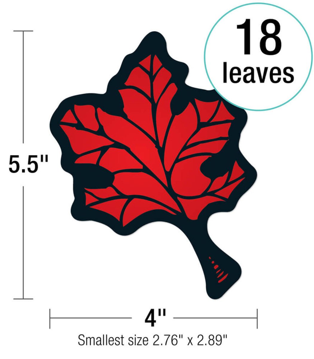 Pumpkin Patch Bulletin Board Set-Tools 4 Teaching-Classroom Decor and More