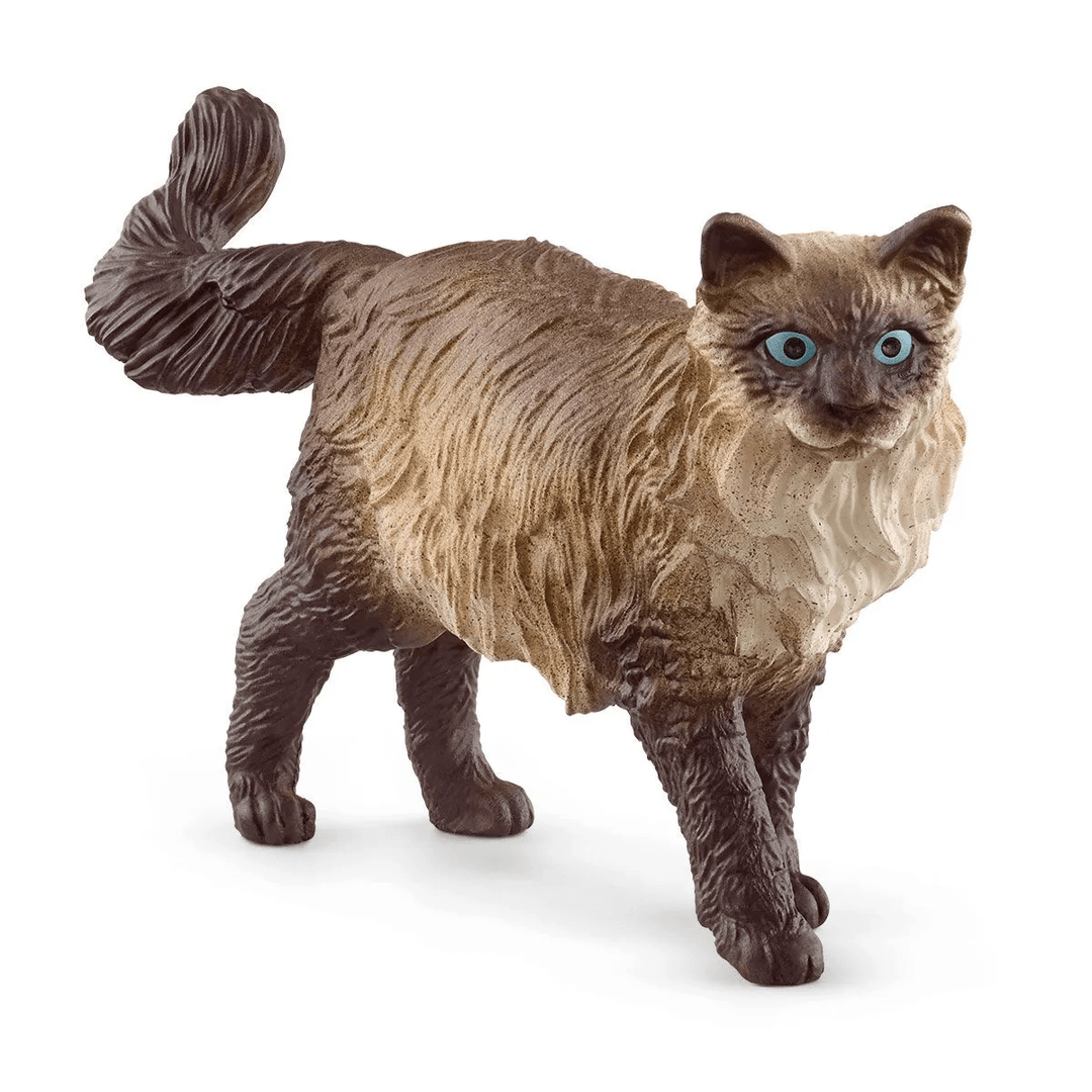 Ragdoll Cat-Schleich USA-Tools 4 Teaching-Classroom Decor and More