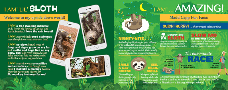 *I AM LiL' SLOTH 100 pcs Puzzle-Puzzles-Tools 4 Teaching-Classroom Decor and More