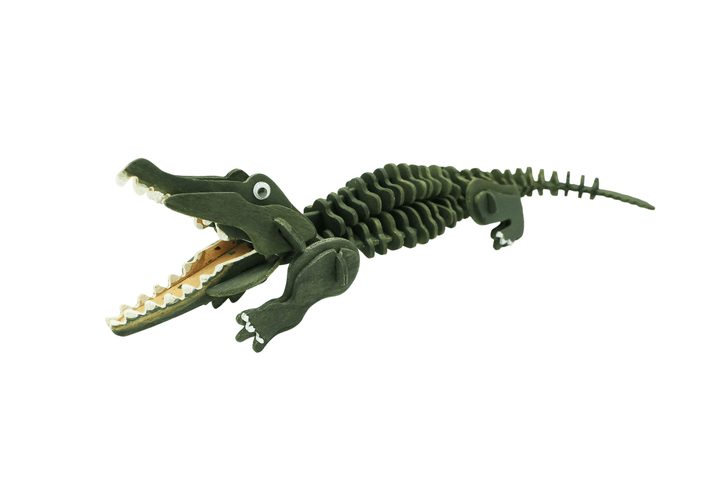 *Extreme Crocodiles of the World-Science & STEM-Tools 4 Teaching-Classroom Decor and More