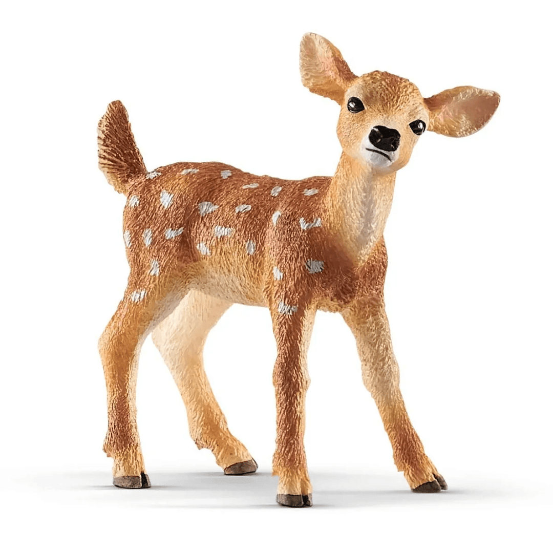 White-tailed fawn-Schleich USA-Tools 4 Teaching-Classroom Decor and More