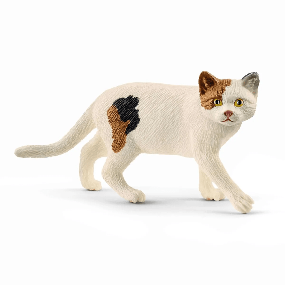 American Shorthair Cat-Schleich USA-Tools 4 Teaching-Classroom Decor and More