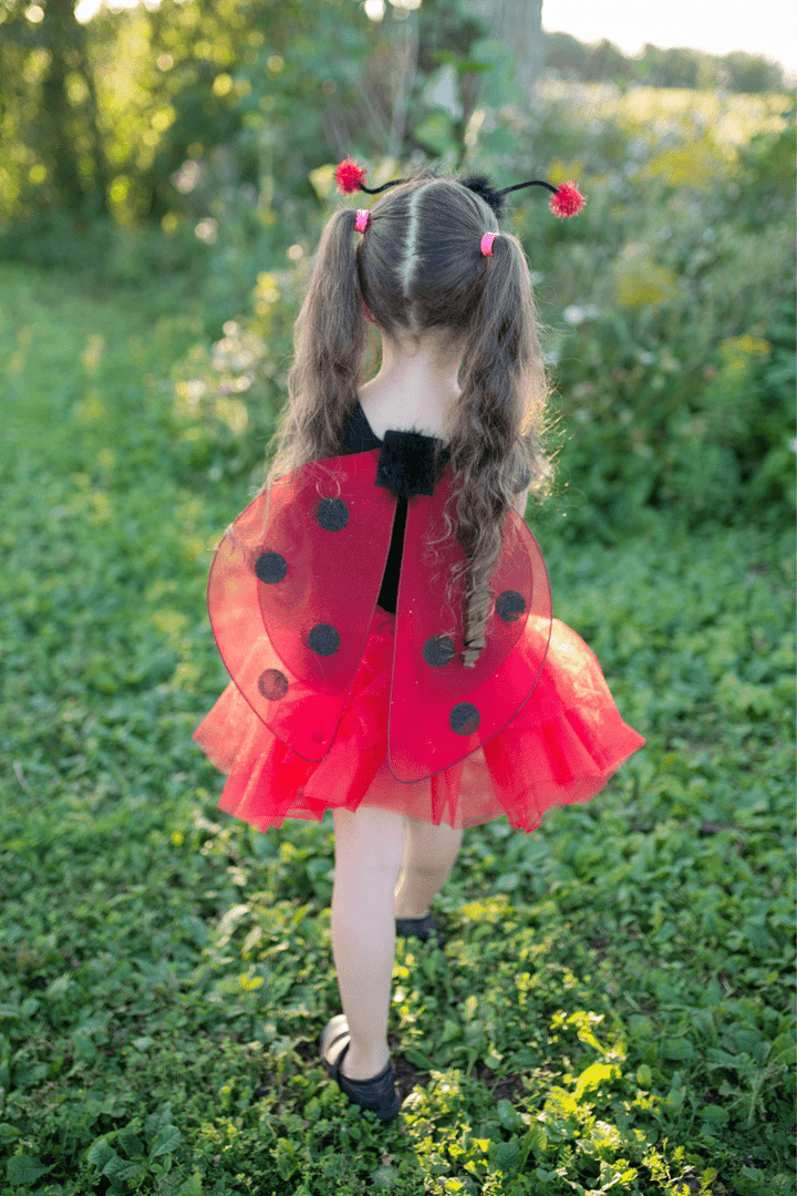 Glitter Ladybug Set, Size 4-6-Dress Up & Jewelry-Tools 4 Teaching-Classroom Decor and More