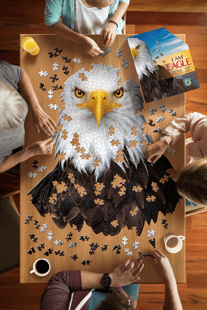*I AM EAGLE 550 pcs Puzzle-Puzzles-Tools 4 Teaching-Classroom Decor and More