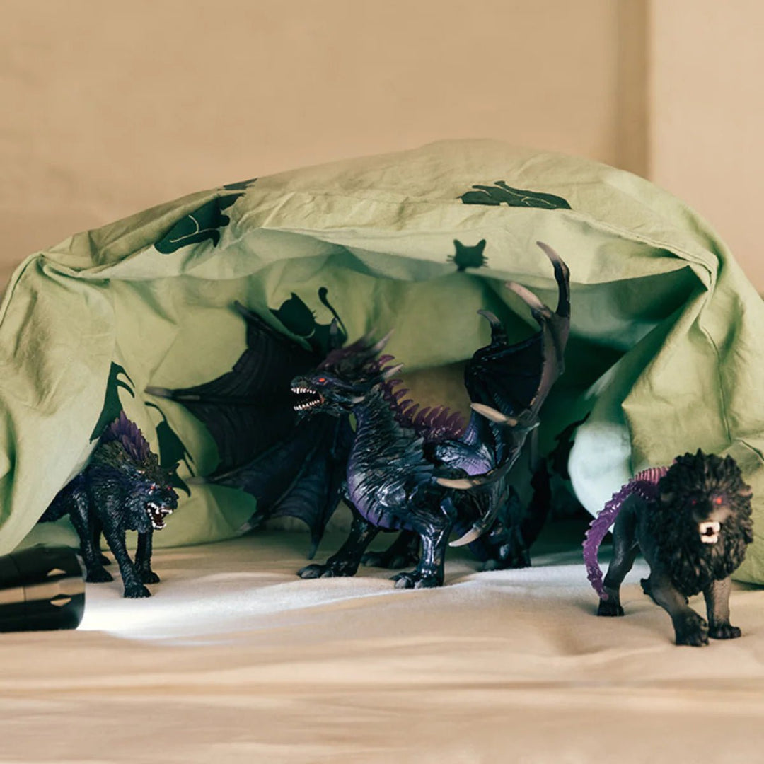 Shadow Lion - Tools 4 Teaching