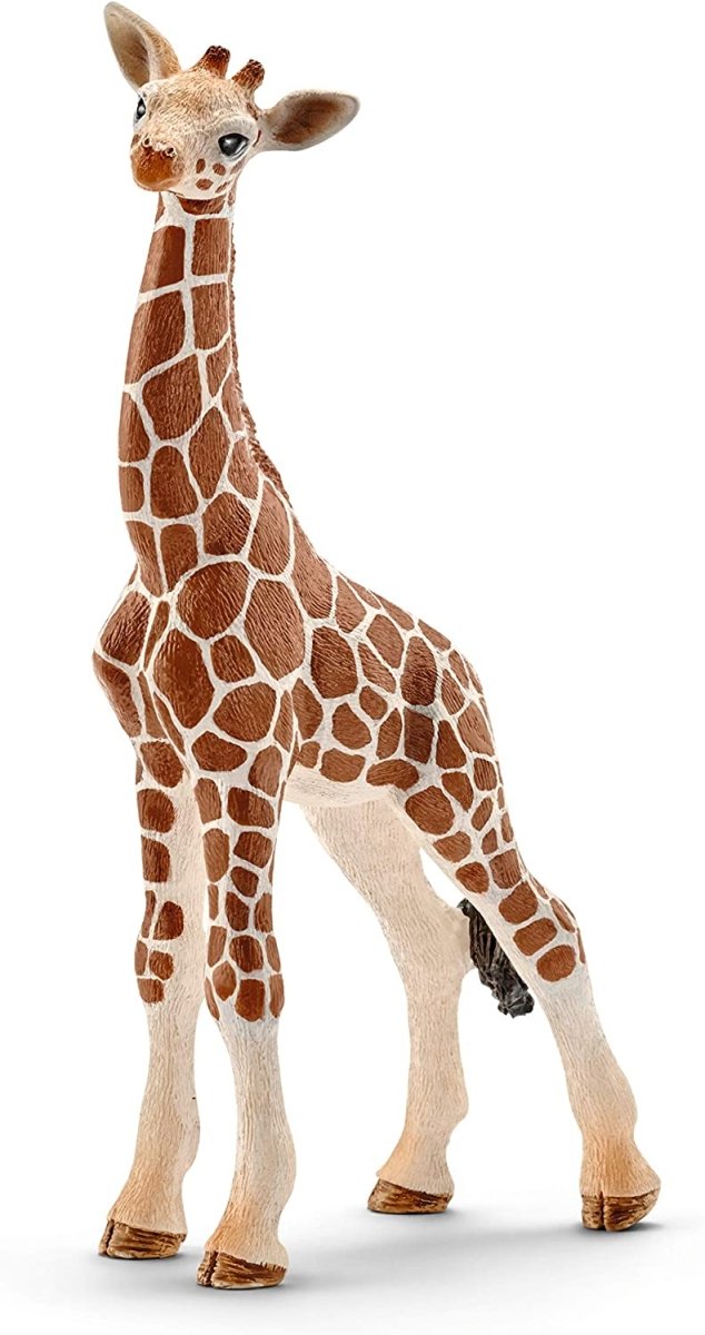 Giraffe Calf-Schleich USA-Tools 4 Teaching-Classroom Decor and More