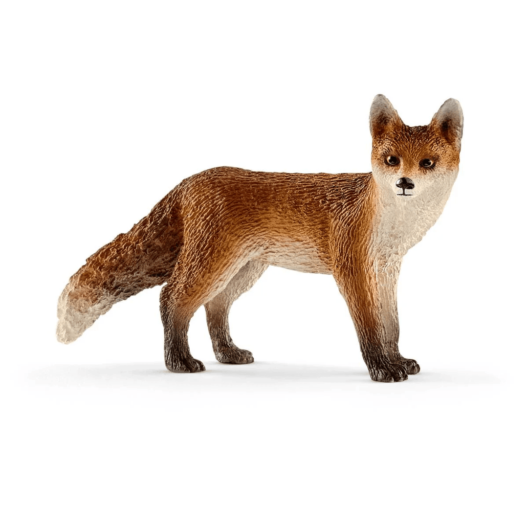 Fox-Schleich USA-Tools 4 Teaching-Classroom Decor and More