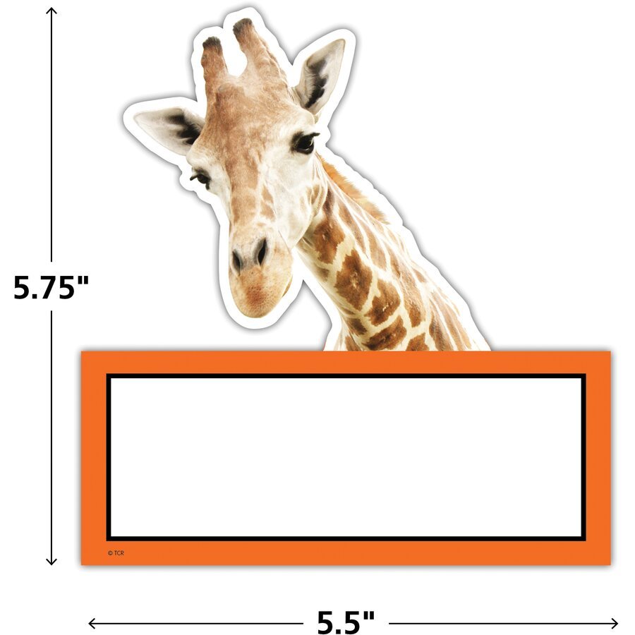 Go Wild Animals Accents-Accents-Tools 4 Teaching-Classroom Decor and More